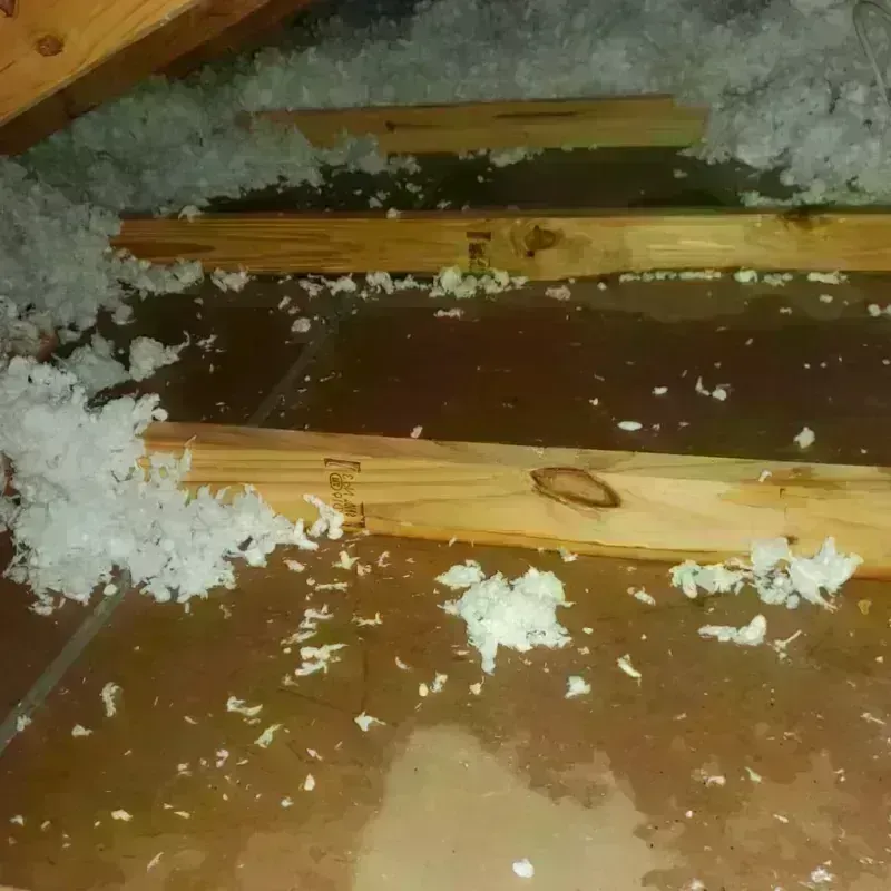 Attic Water Damage in Watts Mills, SC